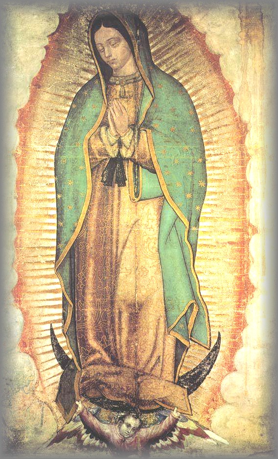 ORIGINAL IMAGE OF OUR LADY: Maguay Cloth - 1531