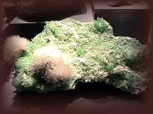 SMITHSONIAN - Mesolite (India)