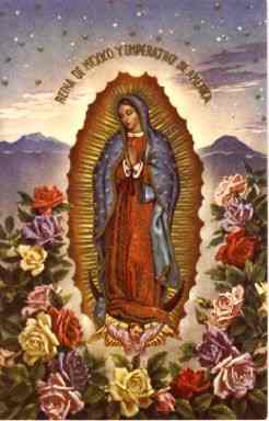 Our Lady Of Guadalupe image