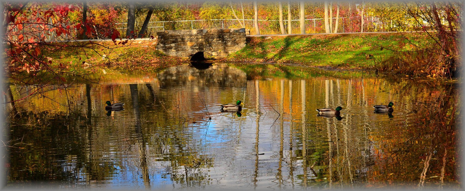 HENES PARK shores of Green Bay