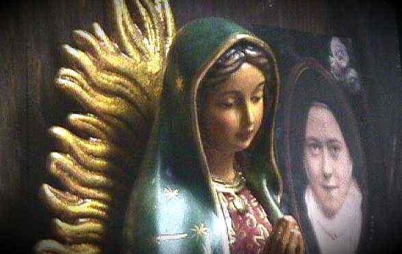 Therese Our Lady Of Gaudalupe image