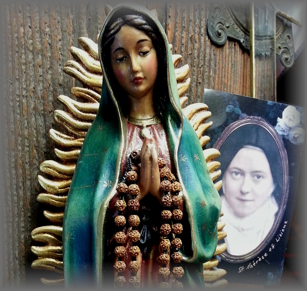 Therese Our Lady Of Gaudalupe image